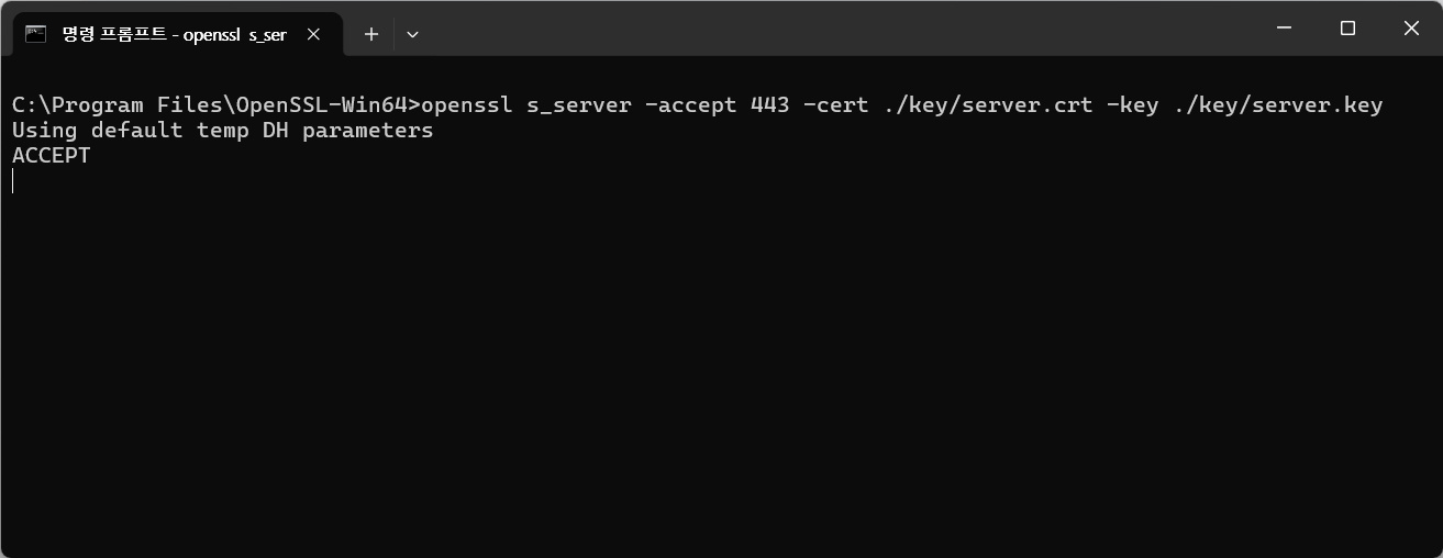 ioNIC SSL Client C Example