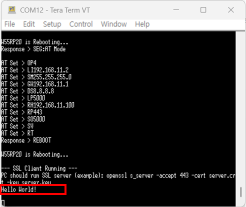 ioNIC SSL Client C Example