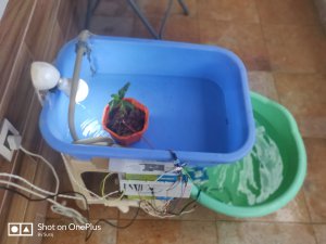 Smart Aquaponics